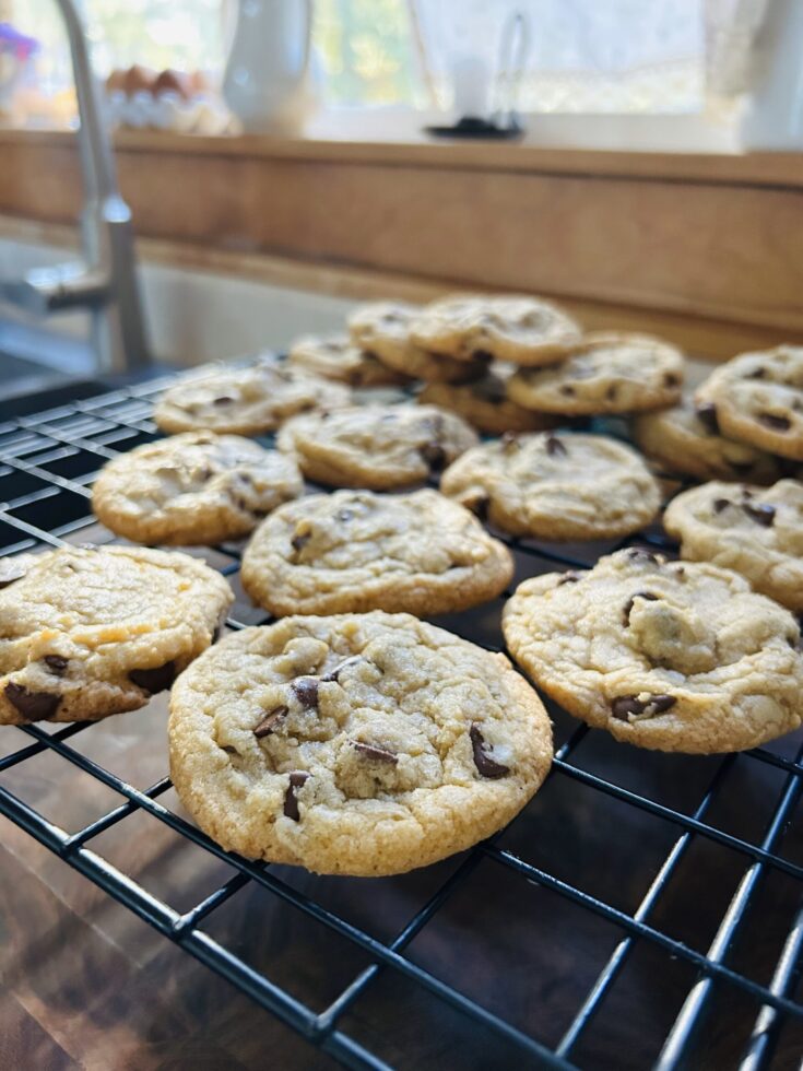 freshly baked chocolate chip cookies cooling on a cooling rack on the kitchen counter in the sunshine