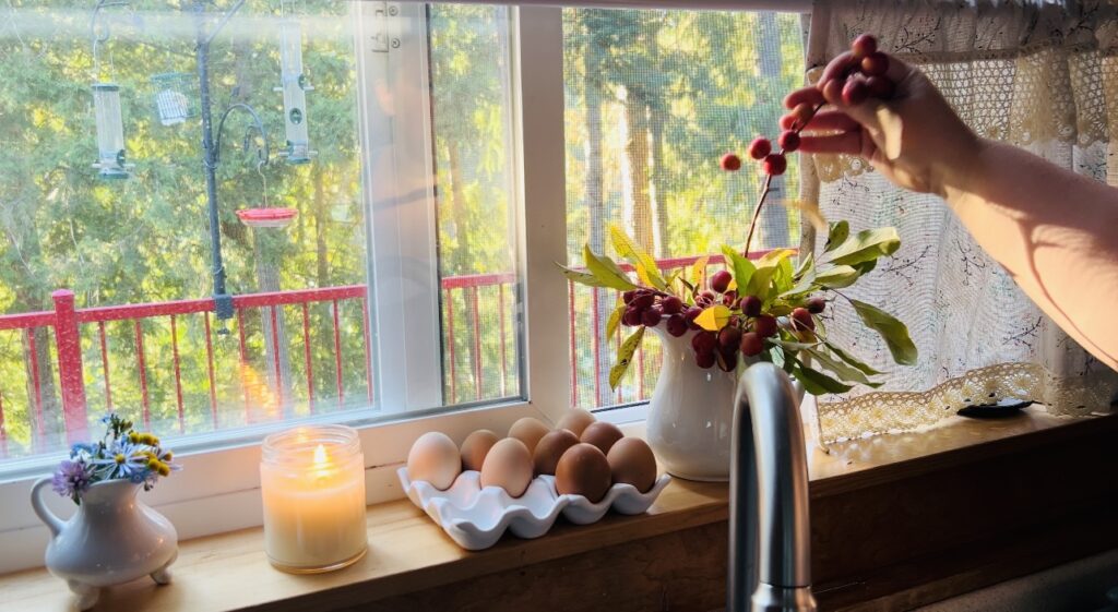 Woman putting crabapple clippings into a white pitcher on a kitchen windowsill next to fresh eggs a candle and another little bouquet of wildflowers. The crabapple clippings made an affordable fall bouquet. 