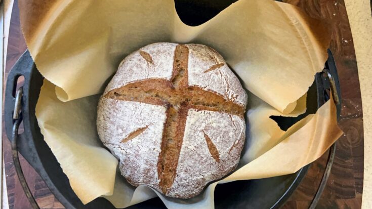 Round loaf of hearty whole wheat bread freshly baked in a cast iron dutch oven in parchment paper.