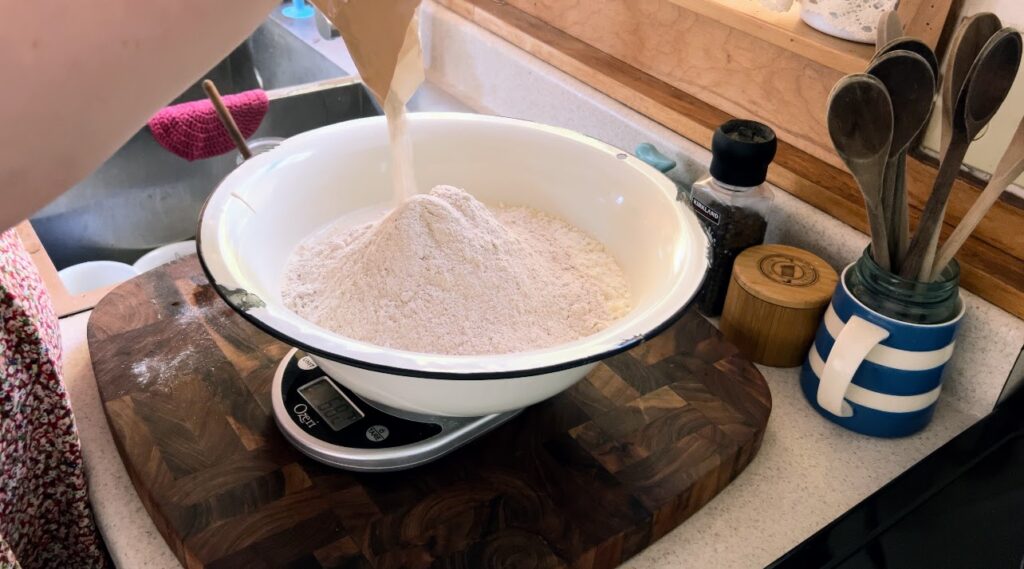 Measuring whole wheat flour into large white enamelware bowl with sourdough starter and water.