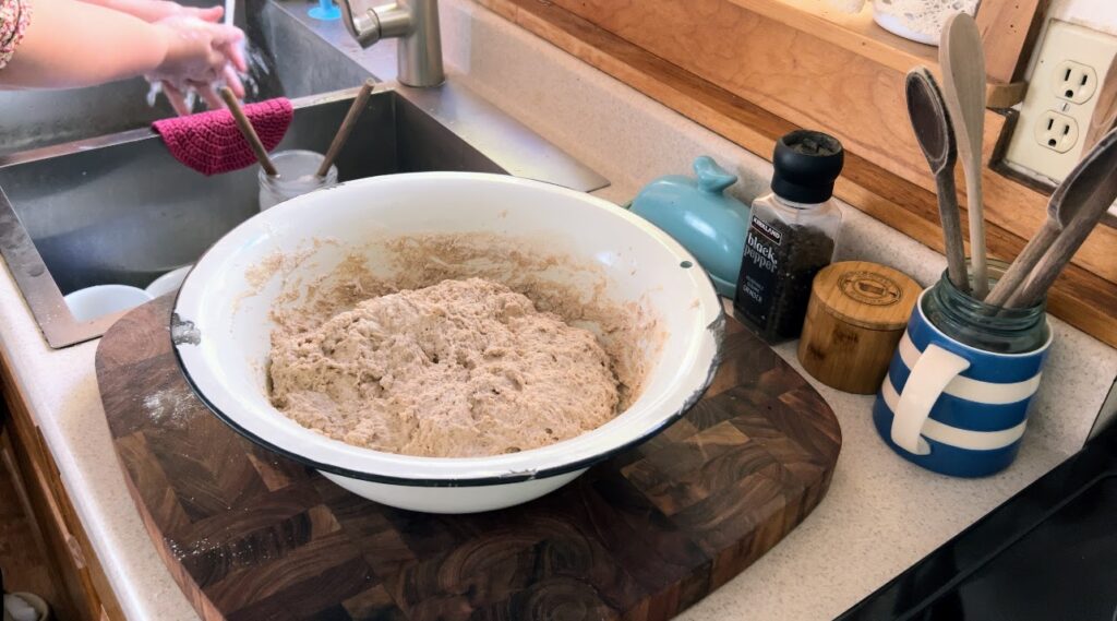 Hearty whole wheat sourdough dough in a large white enamelware bowl.