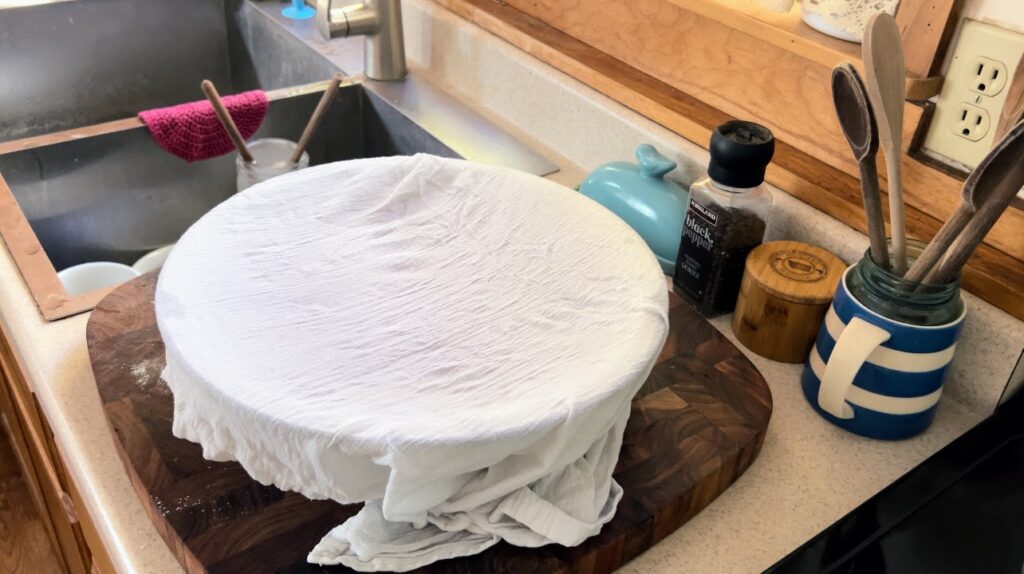 Sourdough dough in a large enamelware white bowl covered with a damp white tea towel for fermentation.