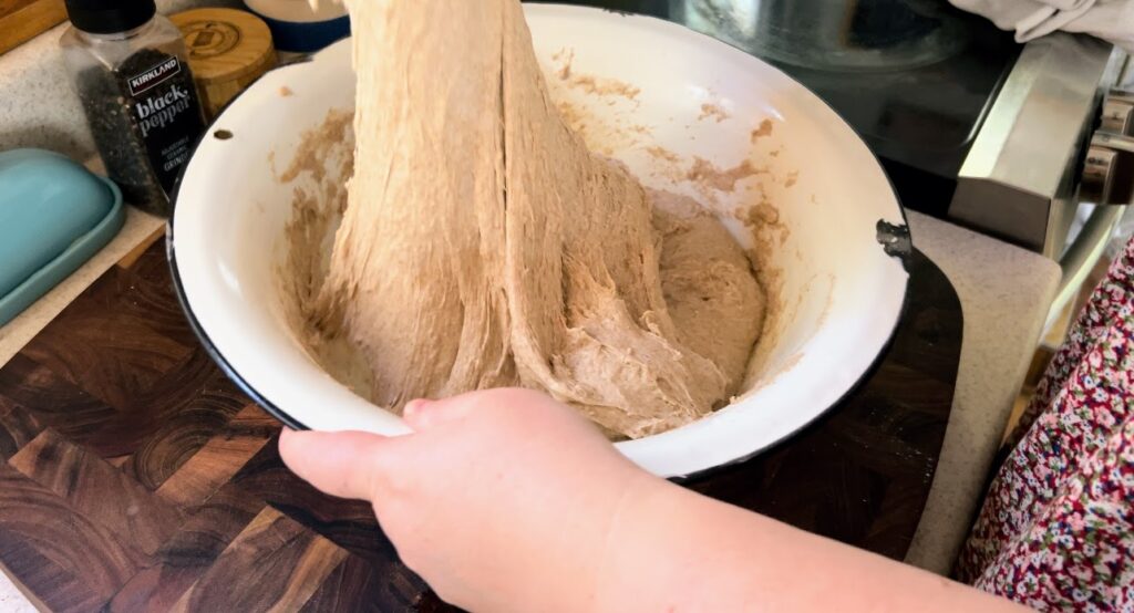 Stretching and folding whole wheat sourdough dough.