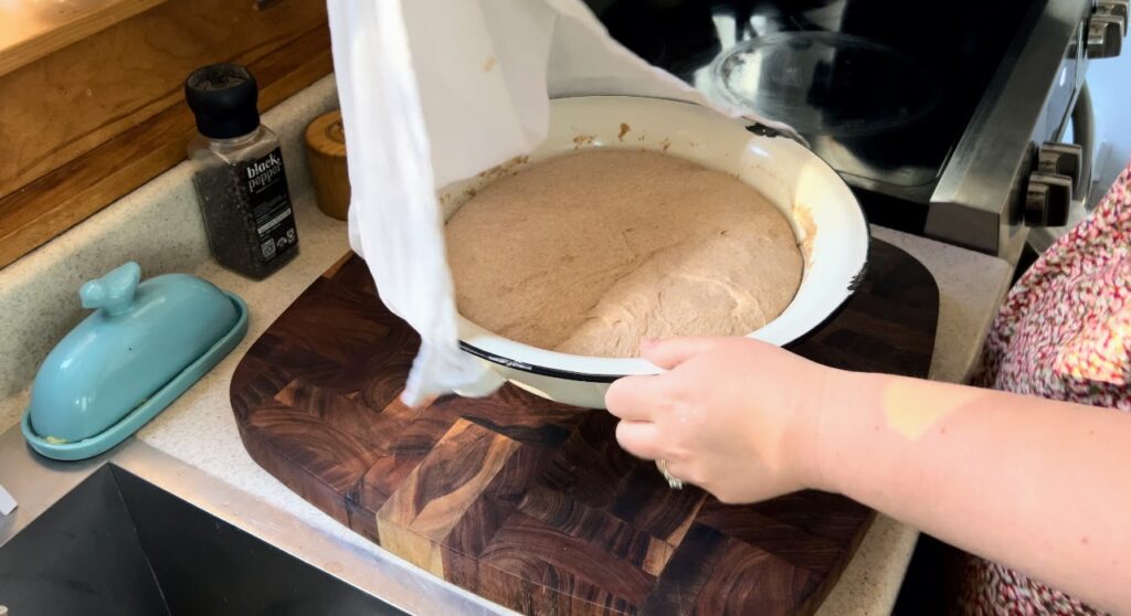 Whole wheat sourdough dough, doubled in size after rising for four hours.