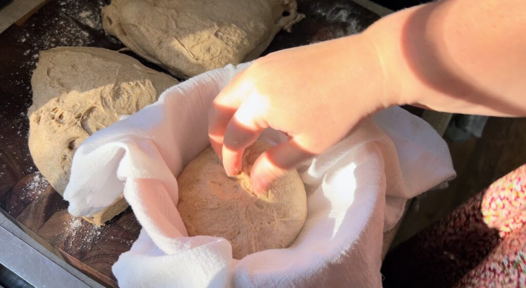 Putting a loaf of whole wheat sourdough dough into a kitchen towel lined bowl.