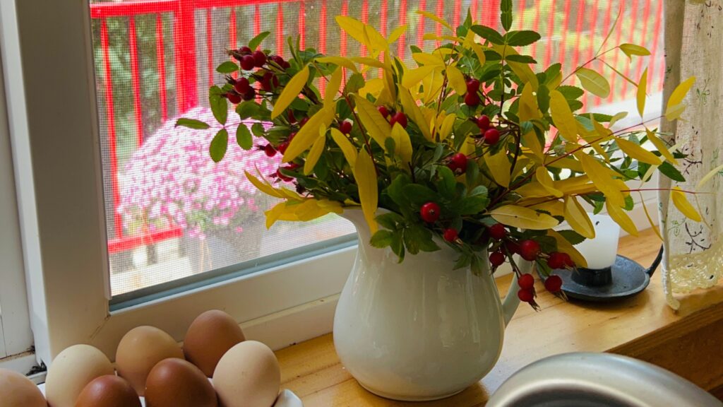 Yellow, red and green fall foliage bouquet in a white pitcher on a kitchen windowsill next to farm fresh eggs.