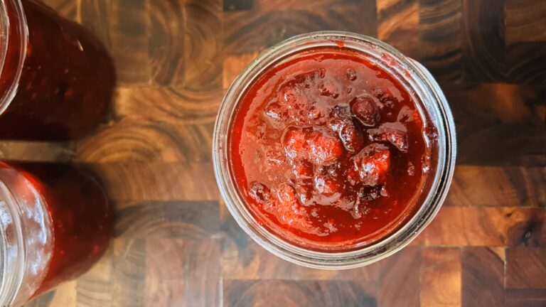 Jar of freshly homemade cranberry sauce.