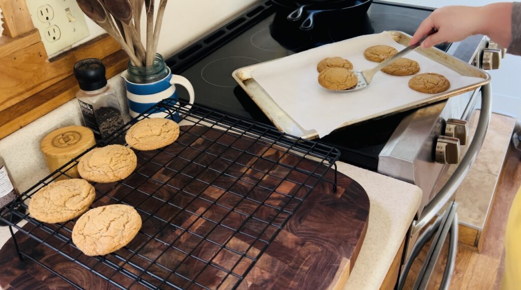 Freshly baked molasses cookies being moved to a cooling rack.