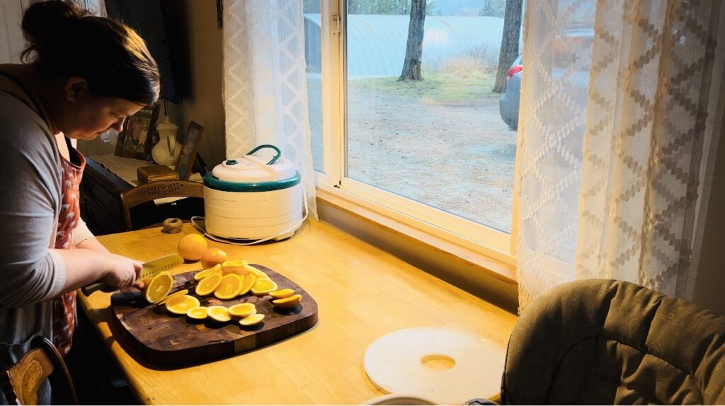 Woman slicing oranges to dehydrate for a Christmas garland. 