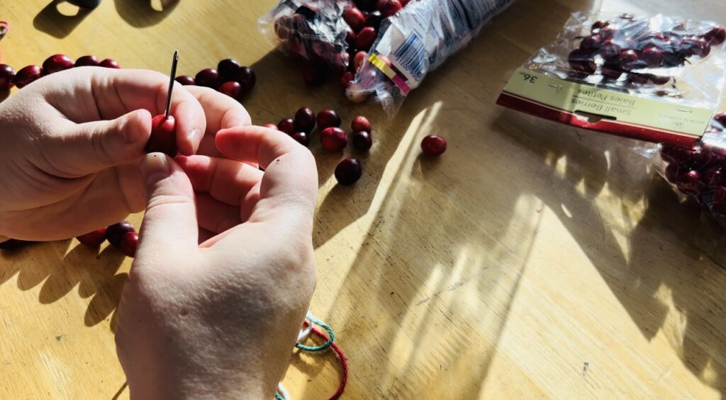 Using a yarn needle to string fresh cranberries onto yarn for a simple Christmas garland.