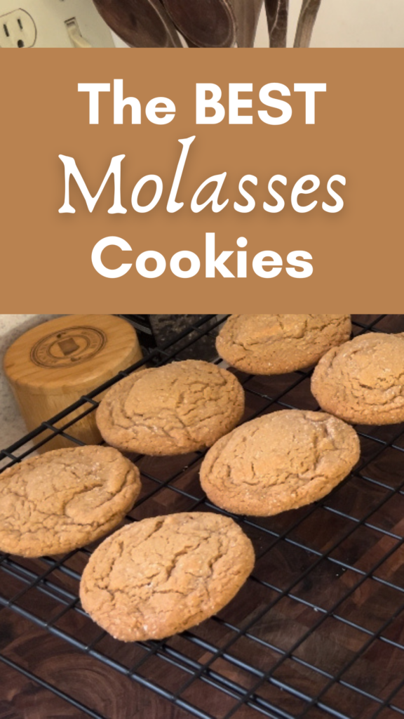 Pinterest pin for the best molasses cookies.