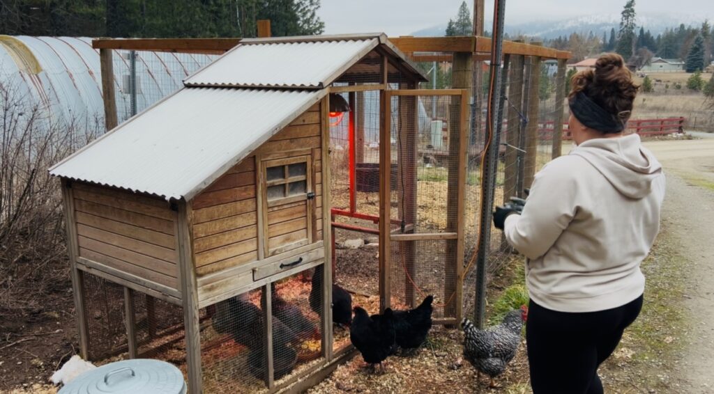 Woman carrying food out to a chicken coop.