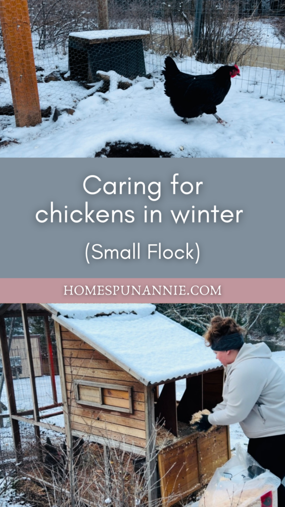 Pinterest pin for caring for chickens in winter.