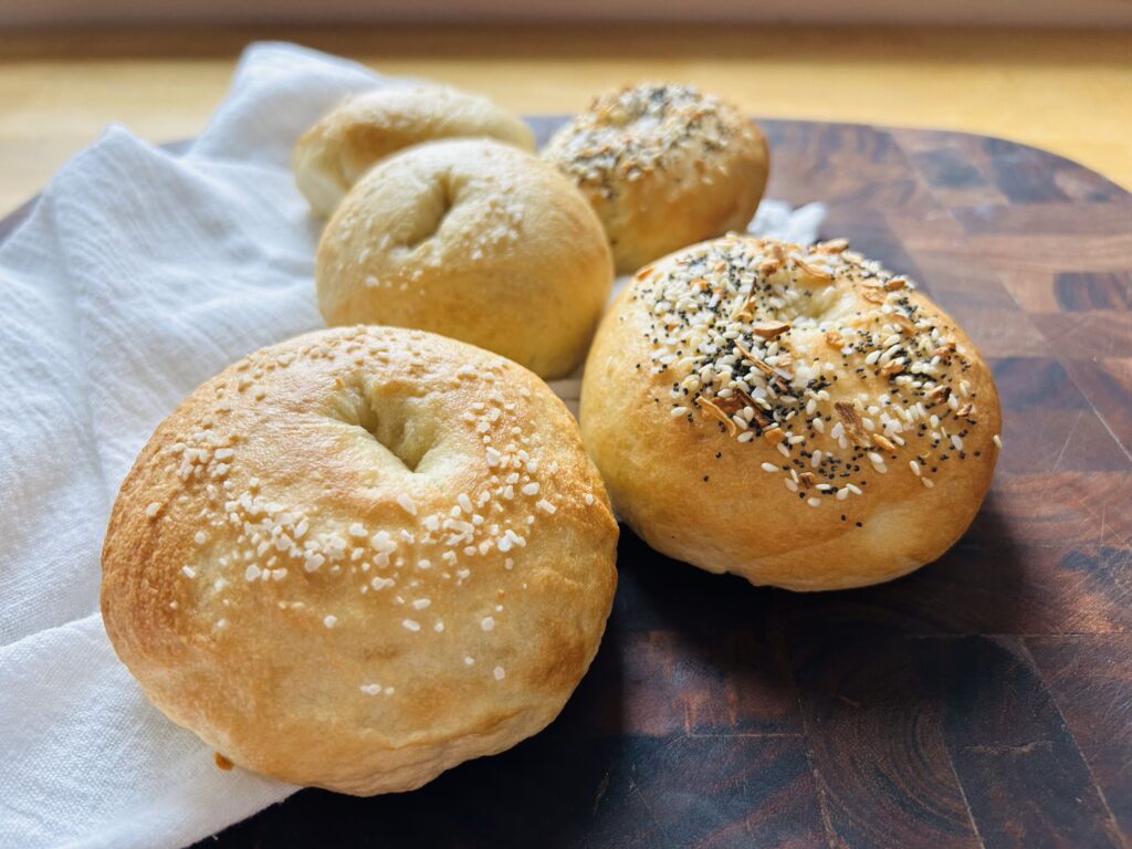 Freshly baked sourdough bagels, some topped with flaky salt and some topped with an everything bagel topping. 