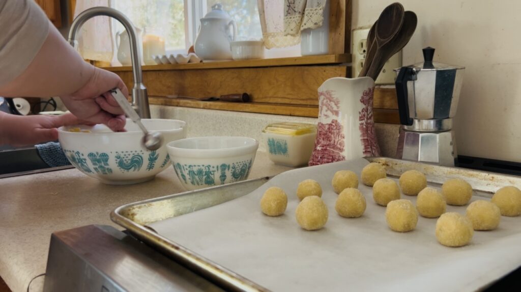 Rolling cookie dough into balls, rolling in sugar and placing on a parchment lined cookie sheet.