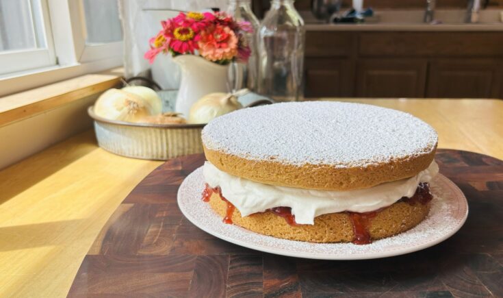 Freshly baked Victoria sponge cake.
