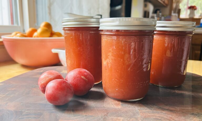 Freshly made plum jam in wide mouth mason jars next to three fresh plums.