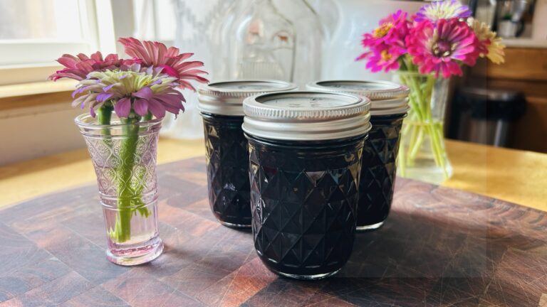 Freshly canned wild huckleberry jam in half pint jars next to some zinnia flowers in a mini vase.